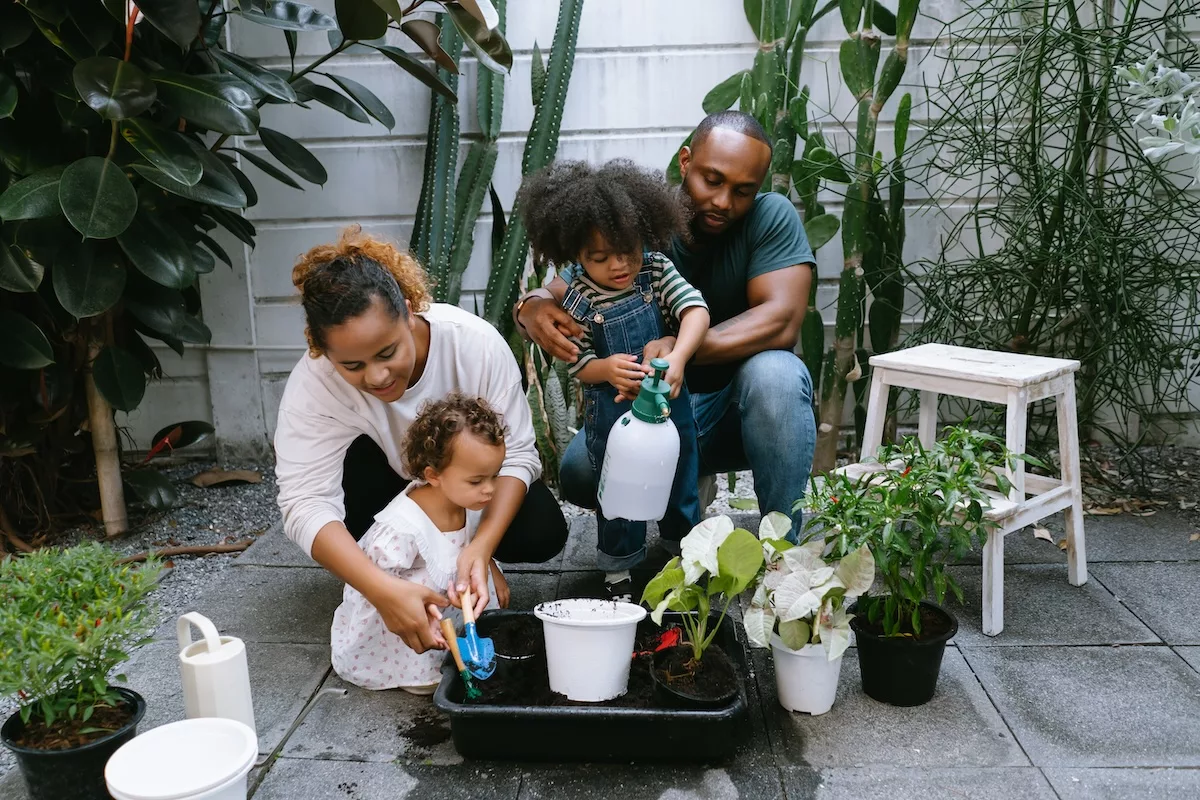 Happy African American family with two children planting a tree and watering it together in garden at home on summer day. Black Family enjoying weekend at home together. Lifestyle outdoor concept.